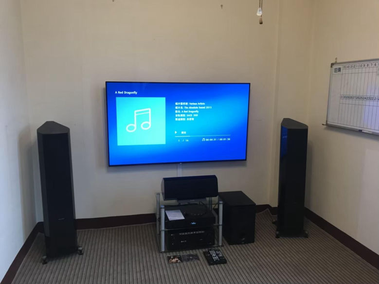 台中視聽音響規劃案例